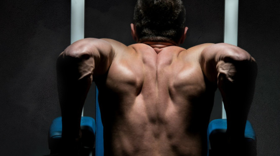Upperbody + ABS